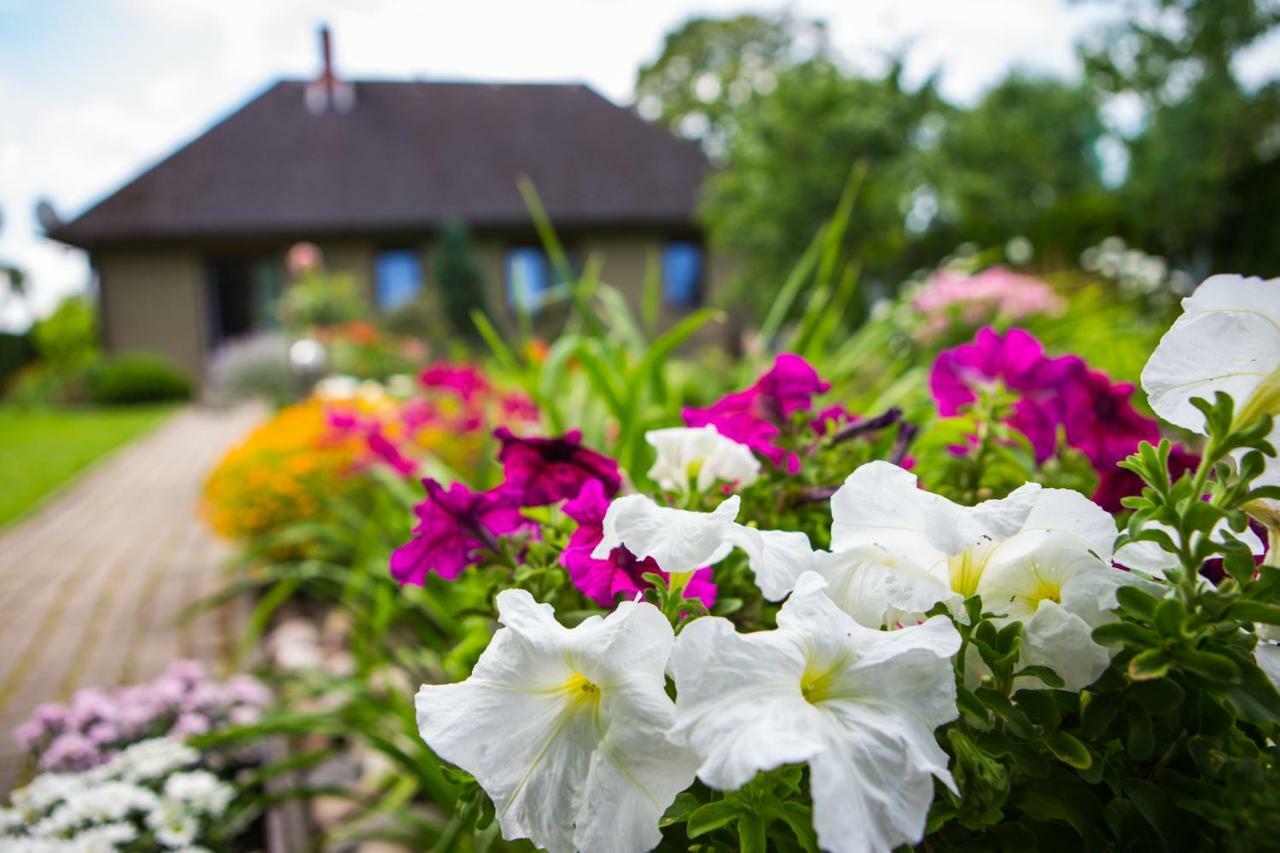 Guests House "Like Home" Sigulda Eksteriør billede